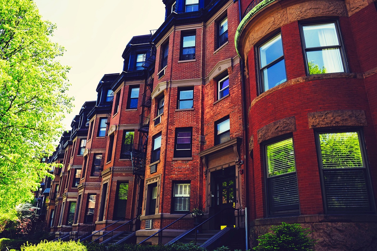 Brownstone homes with a tree in the front garden